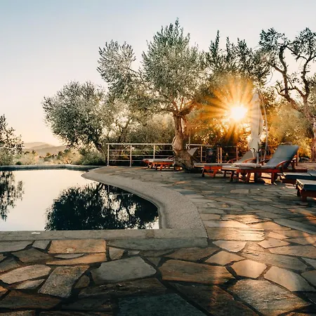 The Infinity 180 Luxury