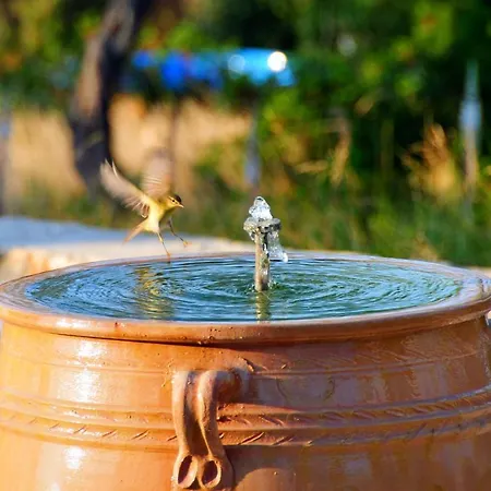 The Infinity 180 Luxury