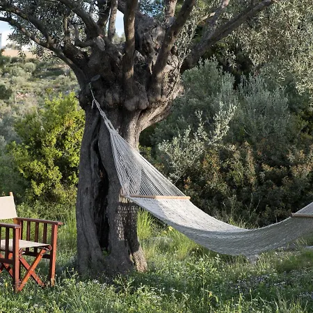 The Infinity 180 Luxury *